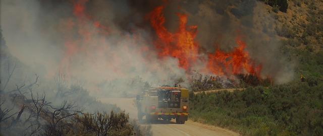 Wildland Fire Management 